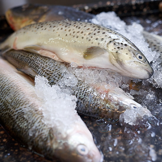 Wildkräuter & Süßwasserfische